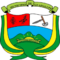 escudo municipio de guadalupe